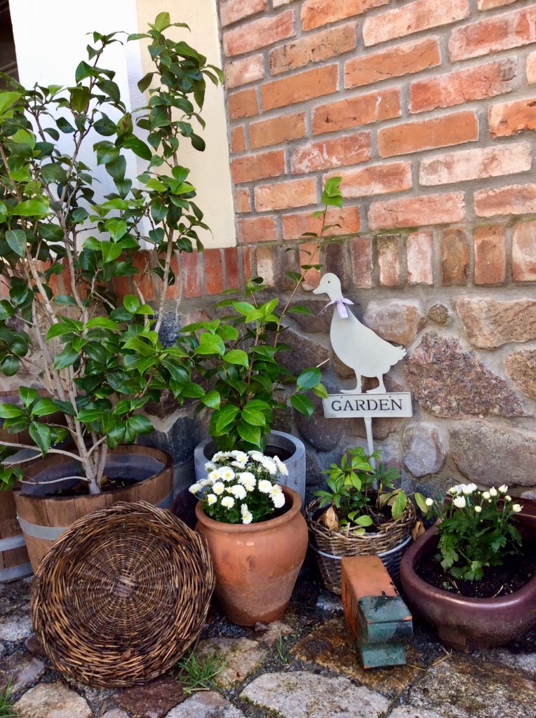 9879459F-DA88-4DFA-A954-4B3D9443203D